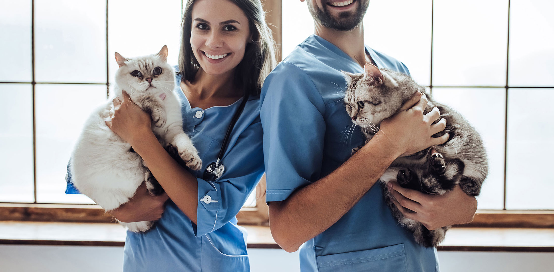 Join the Indian Head Animal Hospital! Vet in Maryland